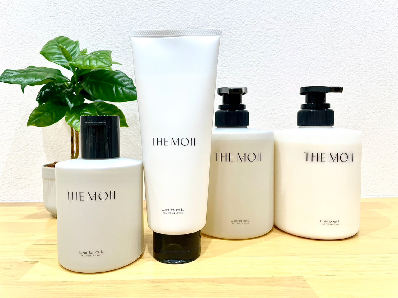 THE MOII自然派シャンプー＆トリートメント